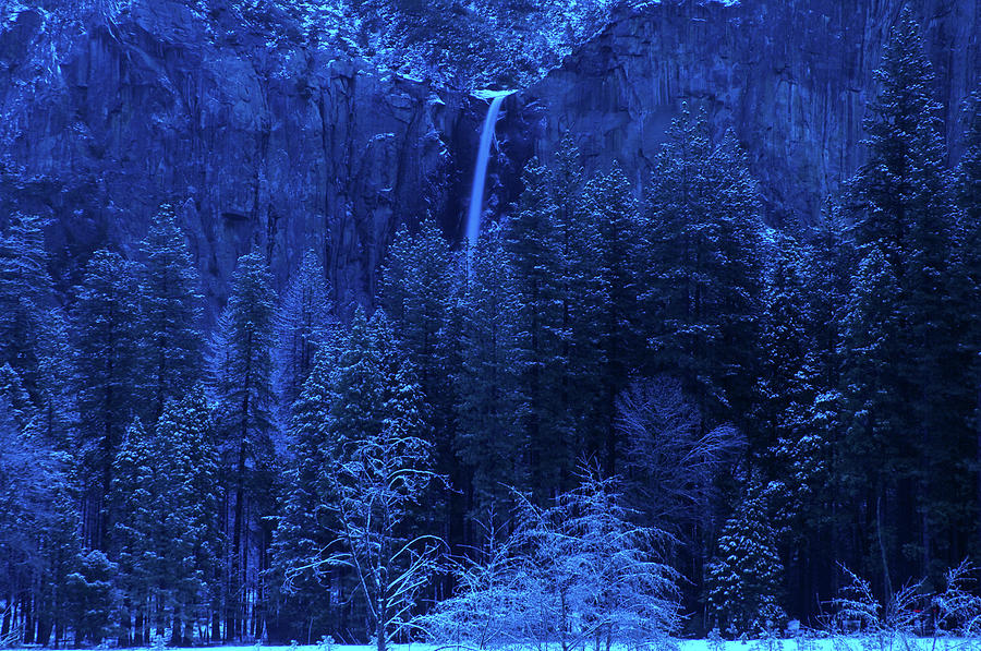 Yosemite National Park #3 Photograph by Mitch Diamond