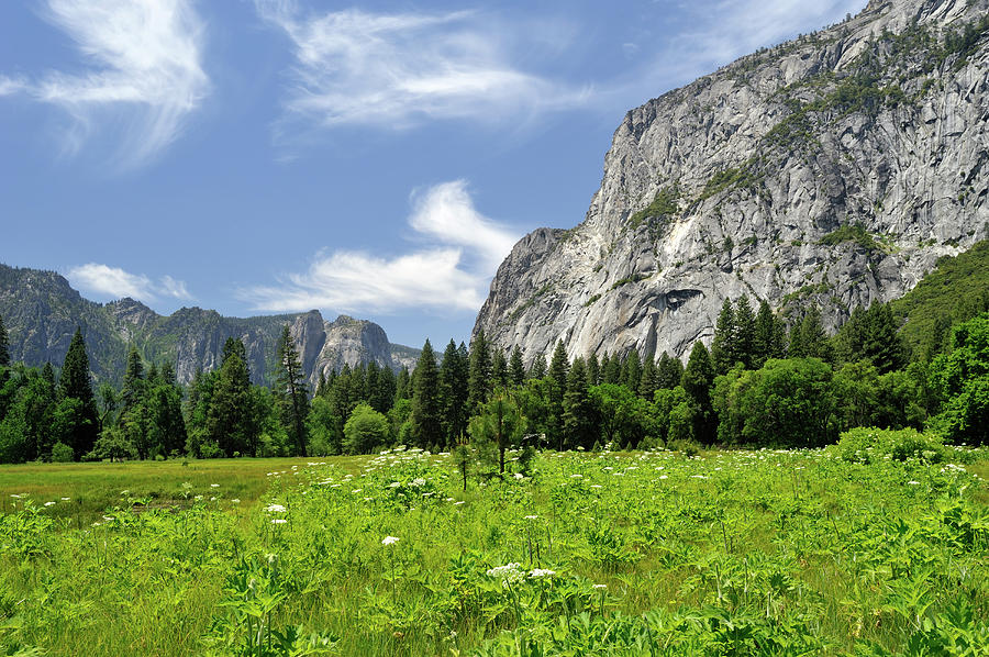 Yosemite National Park, Usa #3 Photograph by Aimin  Tang