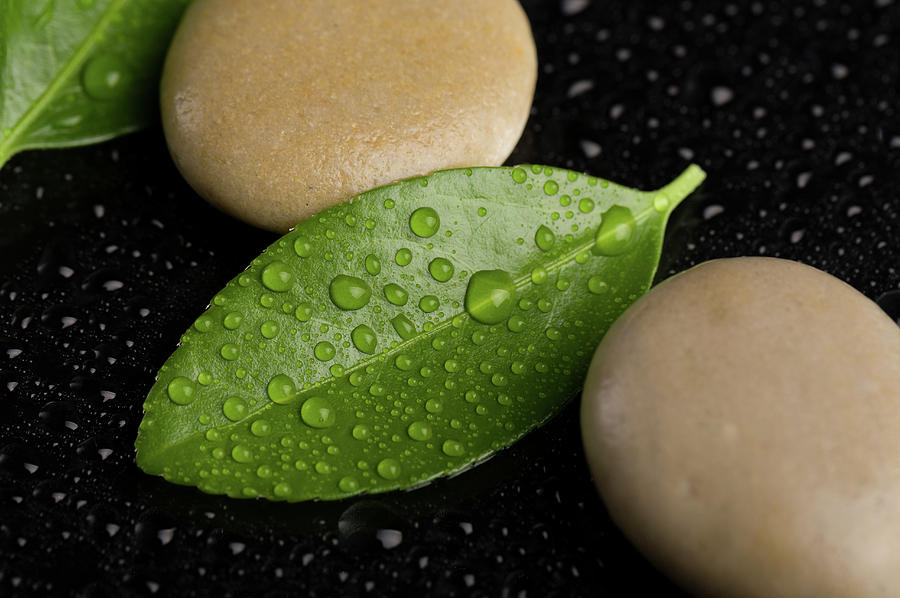 Zen Stones On Black With Water Drops Photograph By Artush Foto