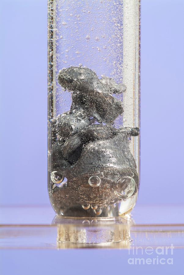 Zinc Reacting With Hydrochloric Acid #3 Photograph by Martyn F. Chillmaid/science Photo Library
