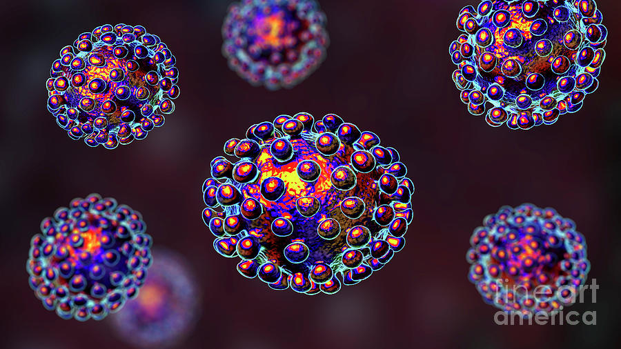 Coronavirus Particles #30 Photograph by Kateryna Kon/science Photo Library