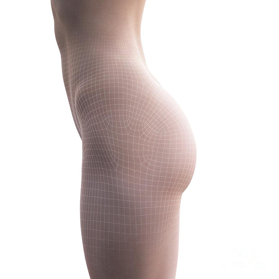 Nude Photograph - Female Buttocks #30 by Sebastian Kaulitzki/science Photo Library