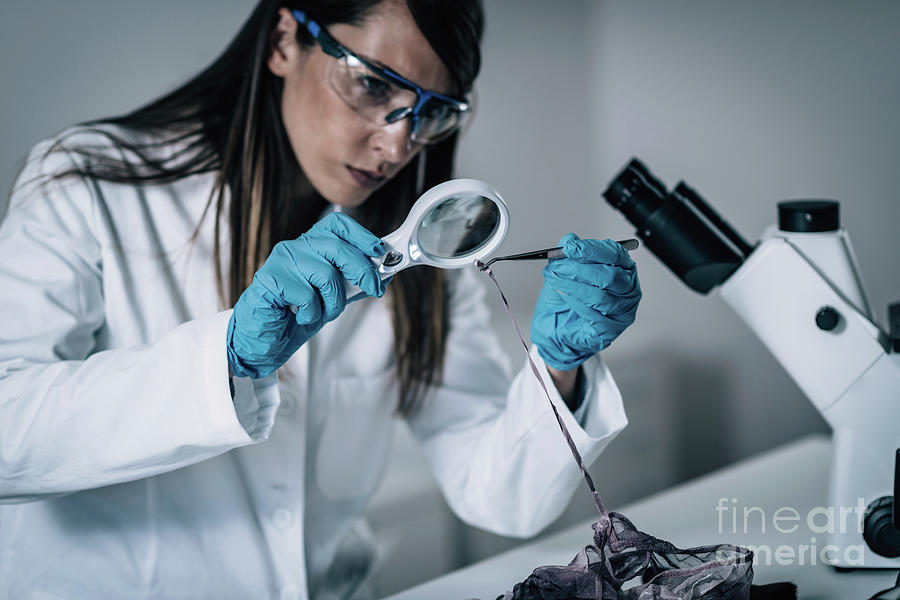 Forensics Expert Examining Crime Scene Evidence 30 Photograph By Microgen Images Science Photo