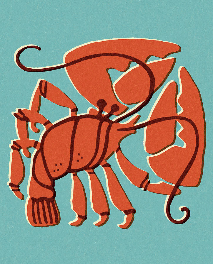 Vintage Drawing - Lobster #30 by CSA Images