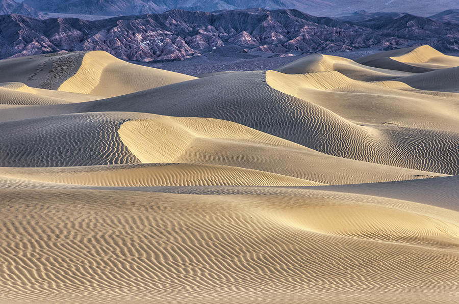 Mesquite Dunes, Death Valley National Photograph by John Ford - Fine ...