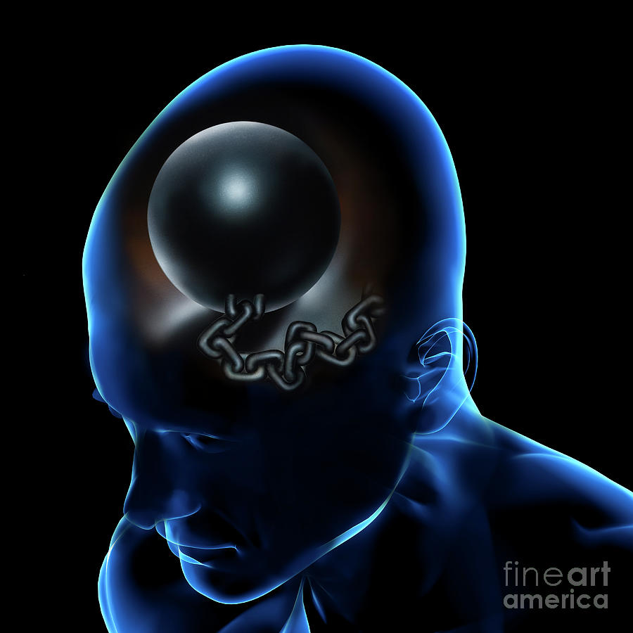Brain Concept Photograph By Fernando Da Cunhascience Photo Library Pixels 1356