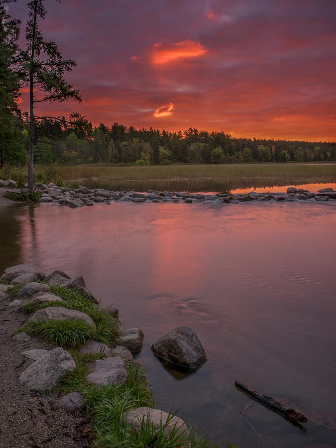 USA, Minnesota, Itasca State Park Photograph By Peter Hawkins | Fine ...