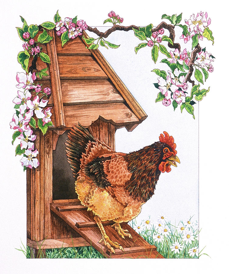 Chicken Painting - 31 by Wendy Edelson
