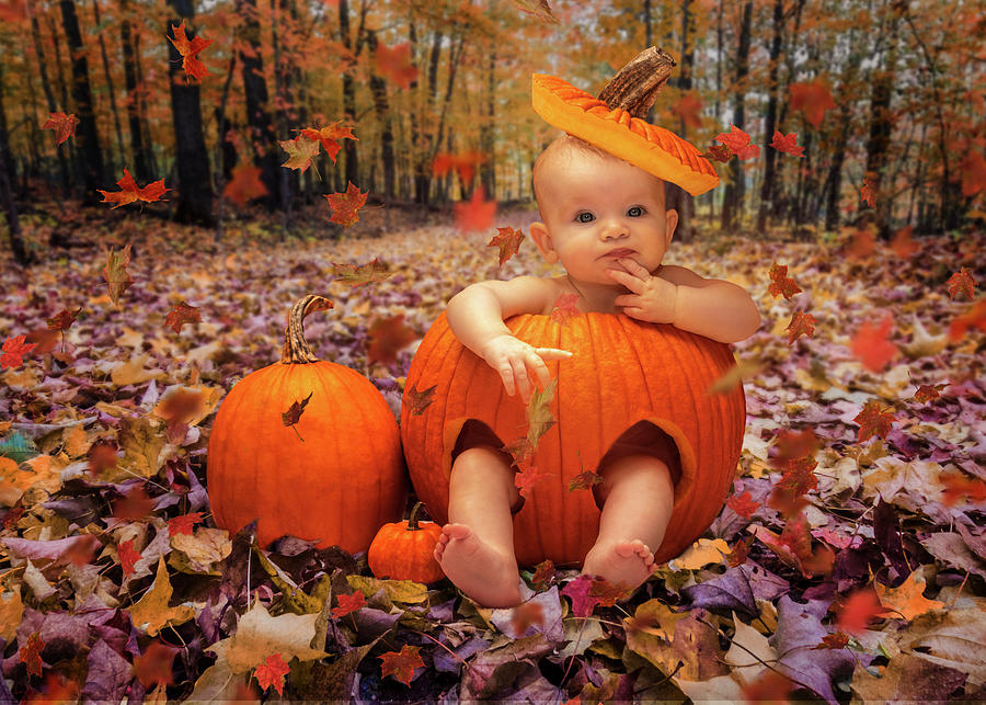 Pumpkin Baby Photograph by Patti Deters