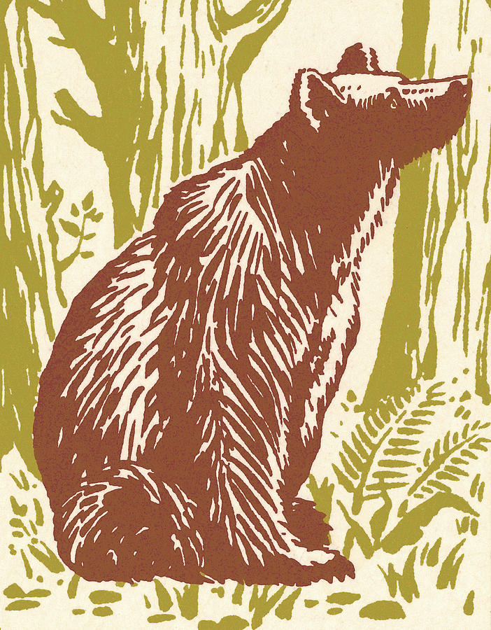 Nature Drawing - Bear #32 by CSA Images