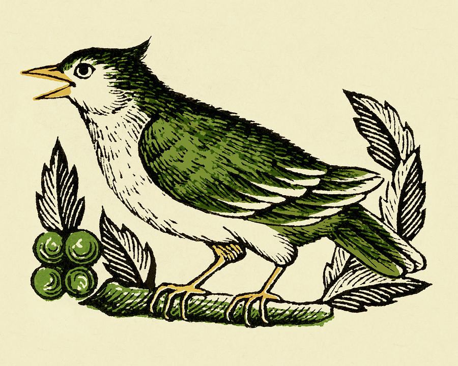 Vintage Drawing - Bird #32 by CSA Images