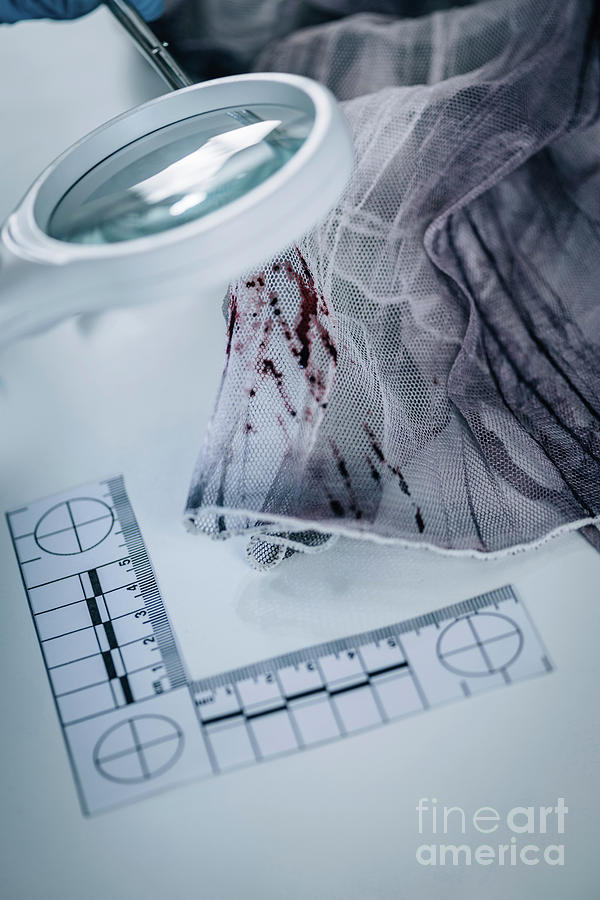 Forensics Expert Examining Crime Scene Evidence Photograph By Microgen Imagesscience Photo 