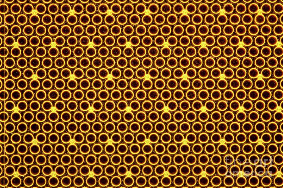Amplifier Photograph - Smartphone Mems Microphone by Gerd Guenther/science Photo Library Amplifier Photograph - Smartphone Mems Microphone by Gerd Guenther/science Photo Library