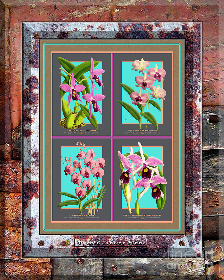 Antique Orchids Quatro On Rusted Metal And Weathered Wood Plank Painting