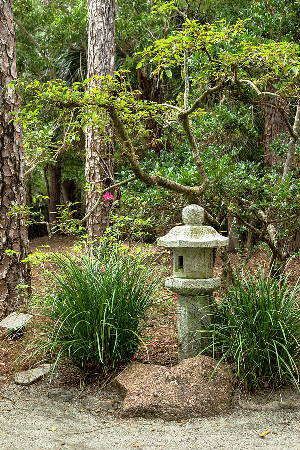 Florida, South Florida, Delray Beach, Morikami Japanese Gardens #33 Digital Art by Lumiere