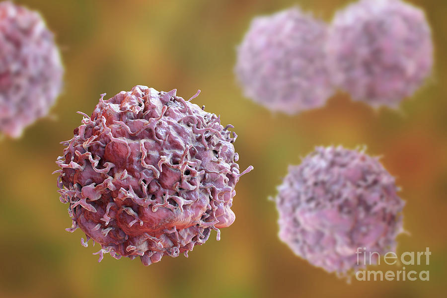 Cancer Cells Photograph By Kateryna Kon Science Photo Library Fine Art America