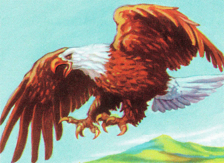 Eagle Drawing - Eagle #34 by CSA Images