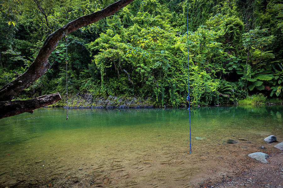 Yunque Natl Forest, Puerto Rico #34 Digital Art by Claudia Uripos