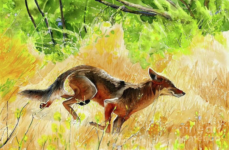 #341 Coyote #341 Painting by William Lum