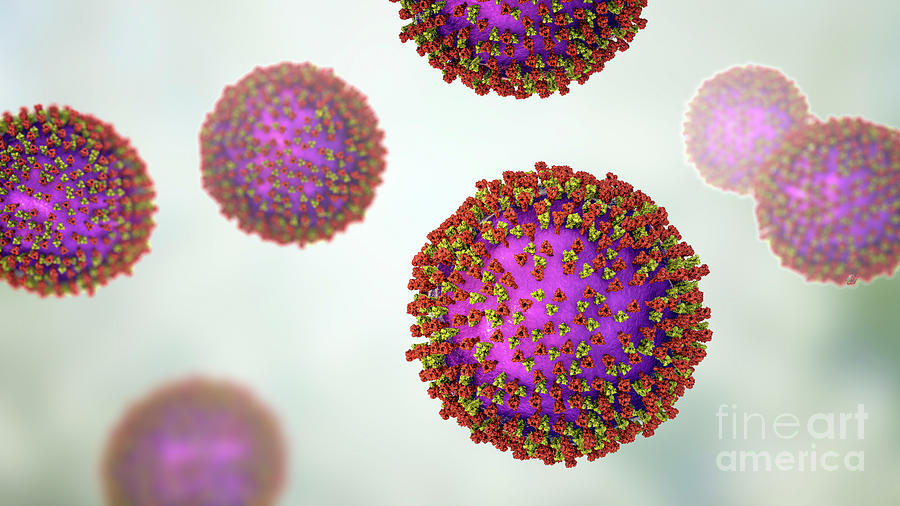 Measles Virus #35 Photograph by Science Photo Library - Fine Art America