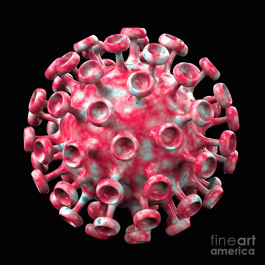 Virus Capsid Photograph By Laguna Design/science Photo Library | Fine ...