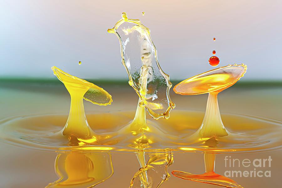 Water Drop Impact #35 Photograph by Frank Fox/science Photo Library
