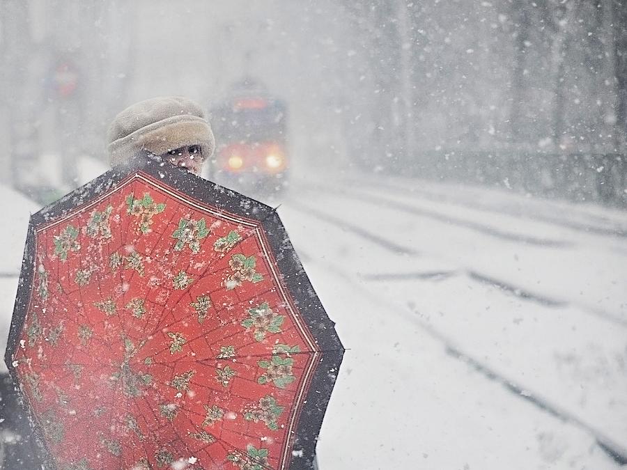 Winter Passengers #35 Photograph by Nicoleta Gabor