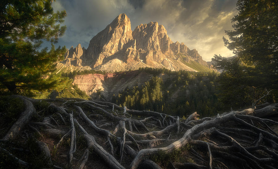Mountain Photograph -  #36 by Tomasz Rojek