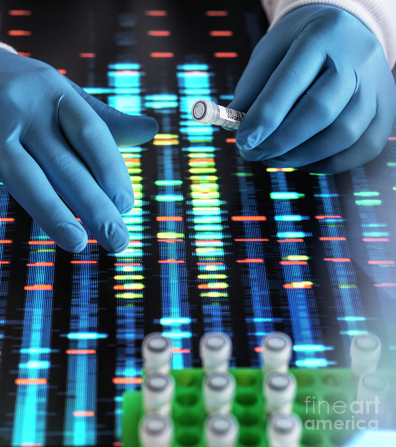 Dna Research #36 Photograph by Tek Image/science Photo Library