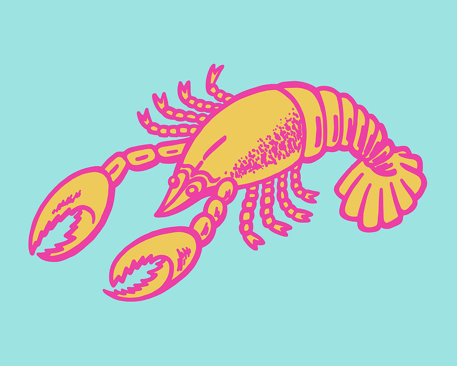Vintage Drawing - Lobster #36 by CSA Images