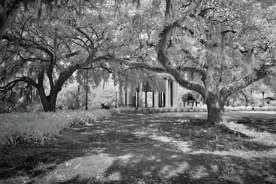 Noma Besthoff Sculpture Garden City Park New Orleans 2019 In Infrared Photograph