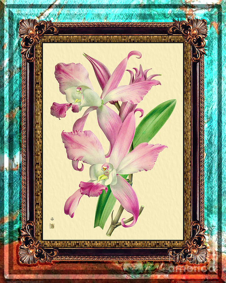 Vintage Mixed Media - Vintage Orchid Antique Design Marble Caribbean-Blue #36 by Baptiste Posters