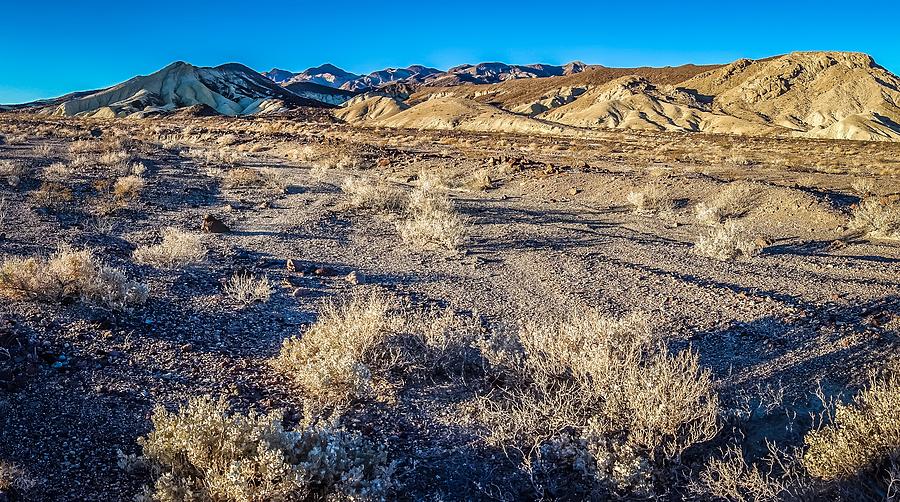 Death Valley National Park Scenes In California #37 Photograph by Alex Grichenko