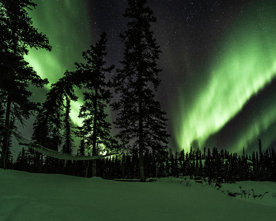 Northern Lights #37 Photograph by Laura Hedien