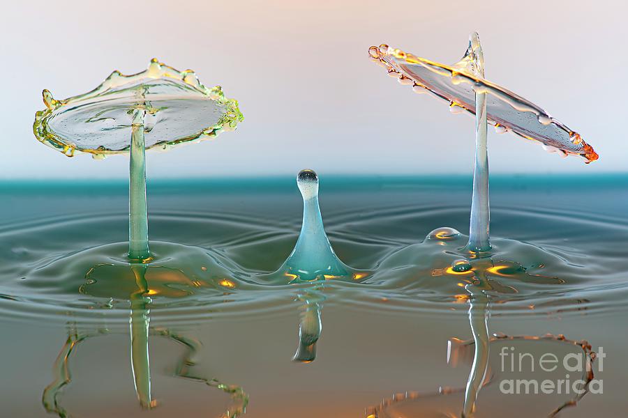 Water Drop Impact #37 Photograph by Frank Fox/science Photo Library