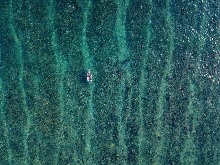 Aerial View Of Surfers In The Ocean Photograph by Cavan Images - Fine ...