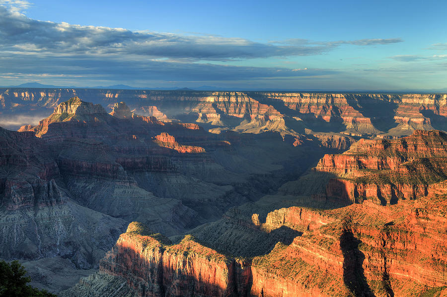 Grand Canyon National Park #38 by Michele Falzone