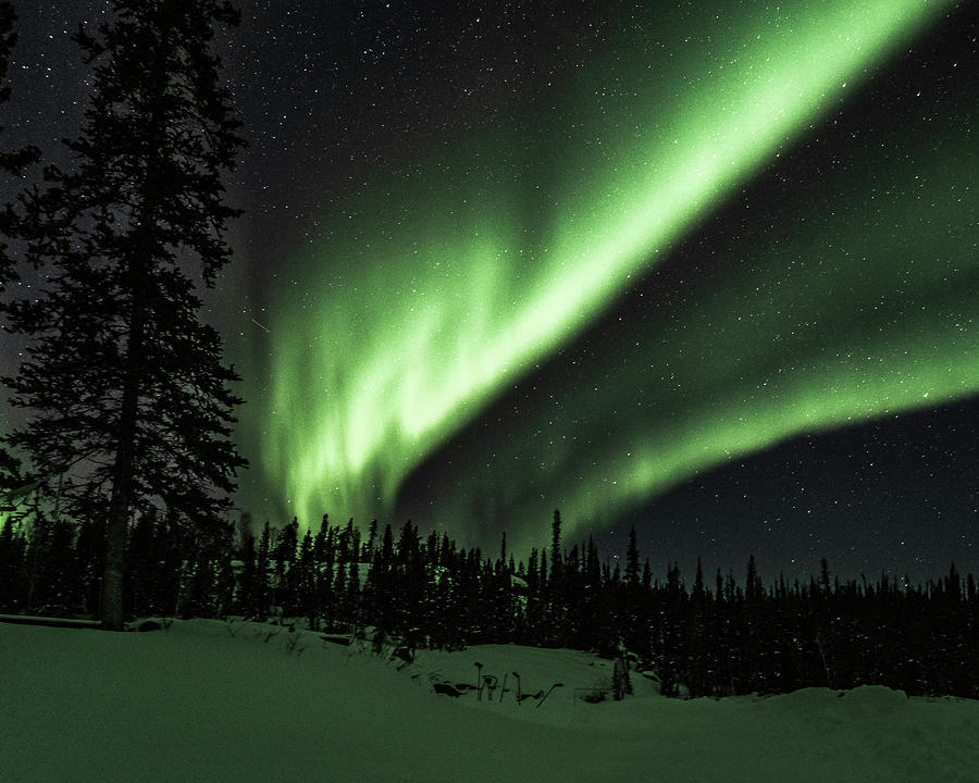 Northern Lights #38 Photograph by Laura Hedien