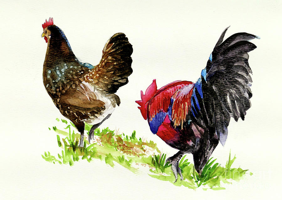 #381 Jills Chickens #381 Painting by William Lum
