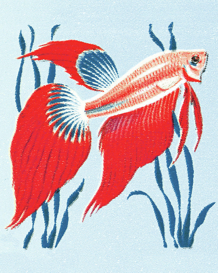 Fish Drawing - Fish #39 by CSA Images