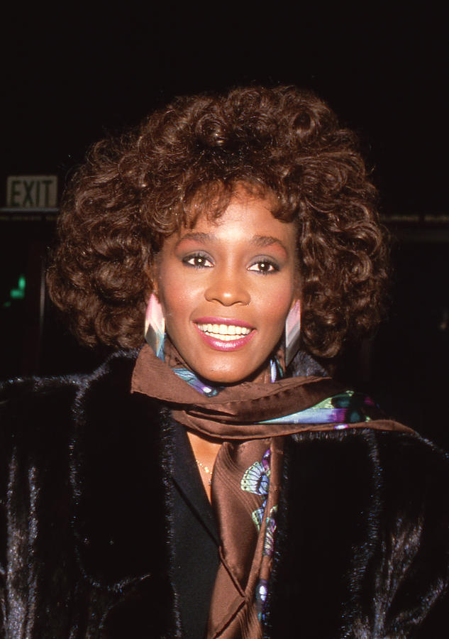 Whitney Houston #39 by Mediapunch