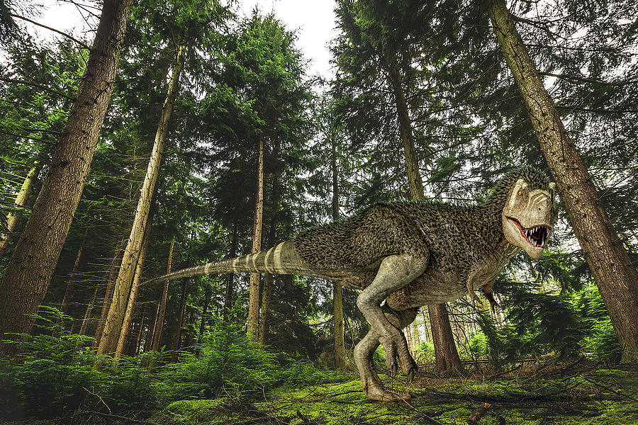 3d Illustration Of A T-rex Photograph by Leonello Calvetti