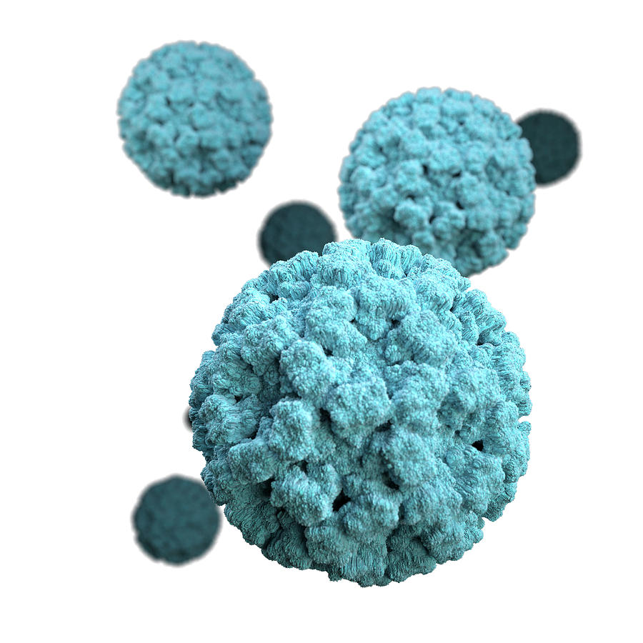 3d Illustration Of Norovirus Virions Photograph by Stocktrek Images