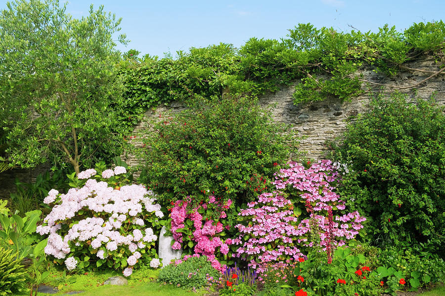 A beautiful summer walled garden border flowerbed #4 Photograph by Seeables Visual Arts