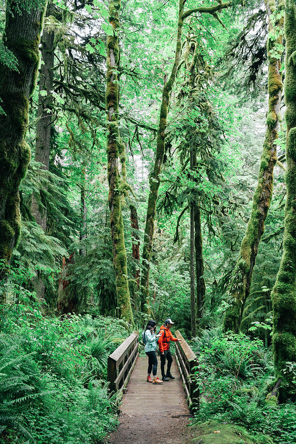 Nature Photograph - A Young Couple Enjoys A Hike On A Bridge In The Pacific Northwest. #4 by Cavan Images