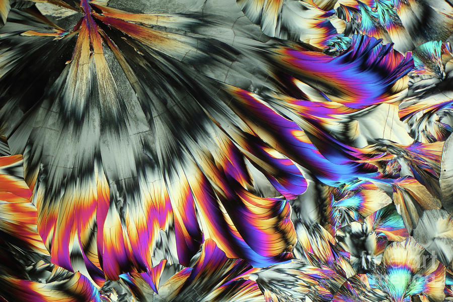 Glutamine Photograph - Alanine And Glutamine Crystals #4 by Karl Gaff / Science Photo Library