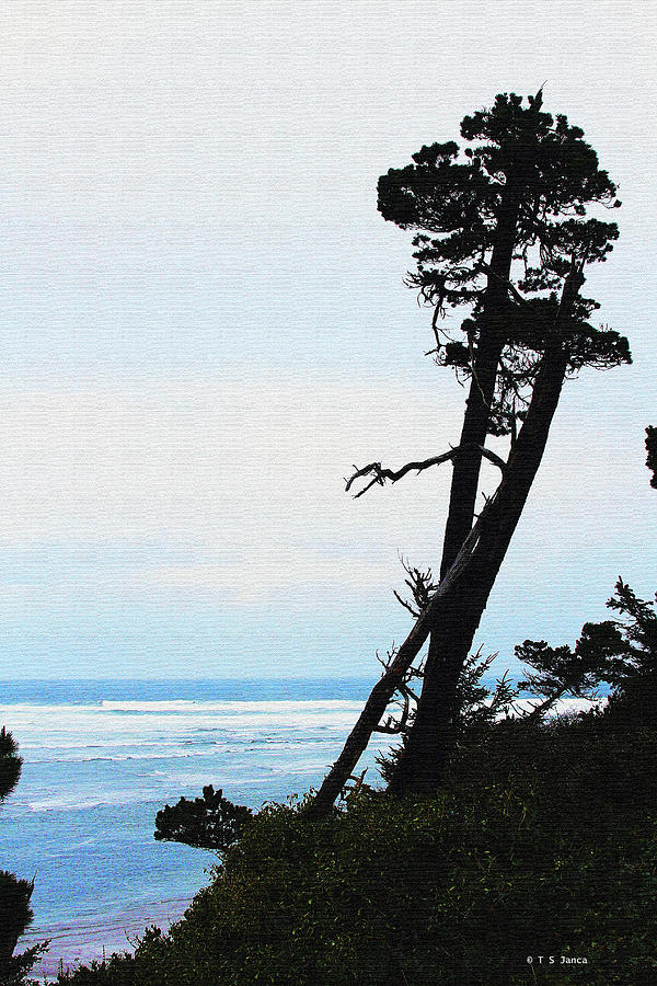 Along The Oregon Coast #4 Digital Art by Tom Janca