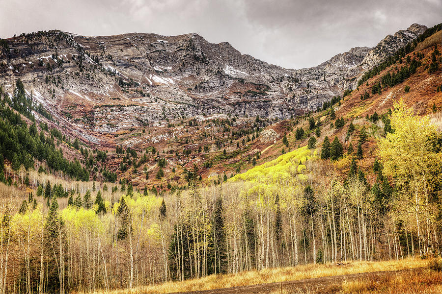 American Fork Canyon #4 Photograph by Brett Engle