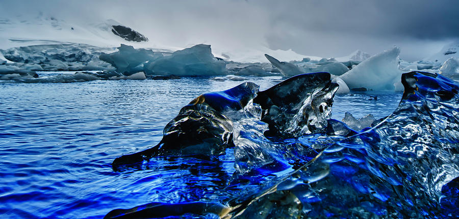 Antarctica #4 Photograph by Michael Leggero