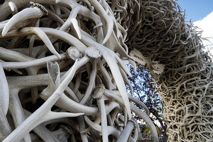 Antler Arch Jackson Hole #4 Photograph by Shirley Mitchell